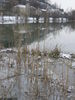 Dateiname=DSCN1083.JPG
Dateigröße=2908KB
Abmessungen: 2736x3648
hinzugefügt am: 03. Januar 2008 DSCN1083.JPG